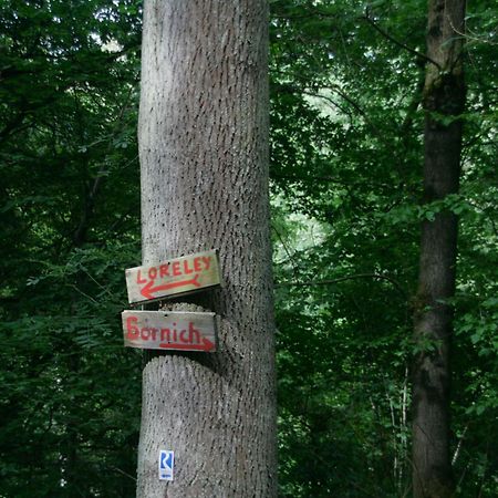 Ferienwohnung Baehr Bornich Luaran gambar